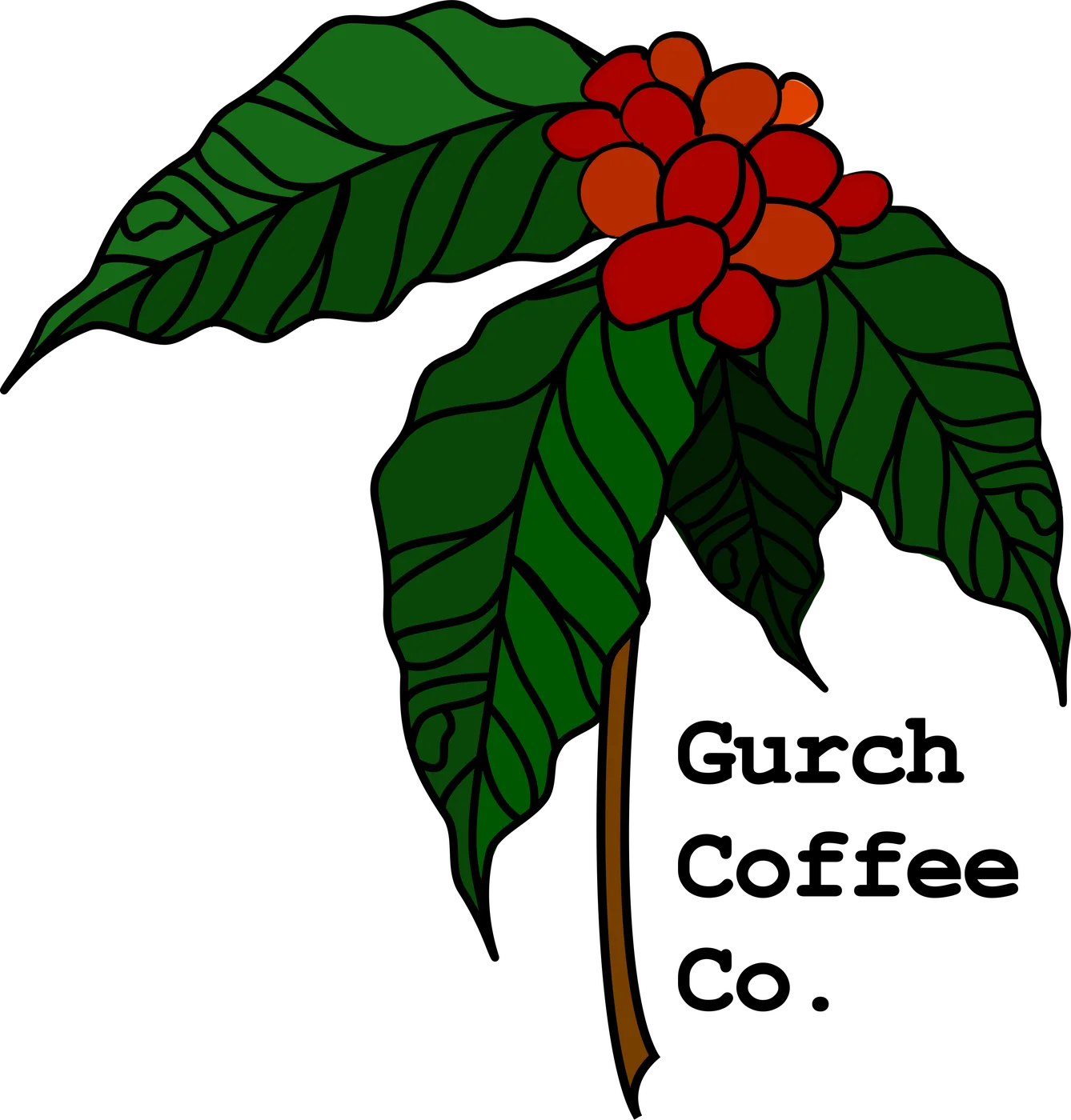 Illustrated coffee plant with red cherries